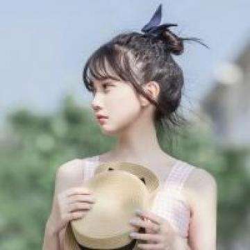 加拿大pc软件平台